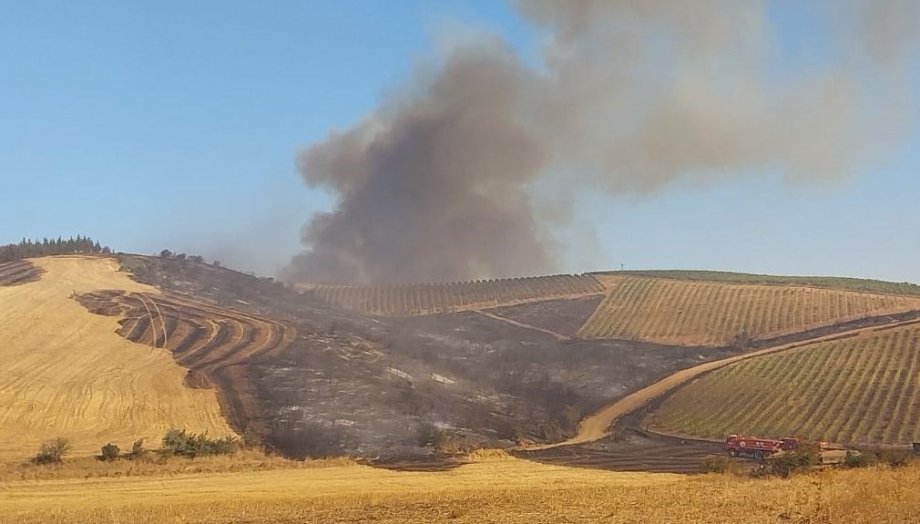 canakkalede tarim arazisinde yangin 7dvJWLcd