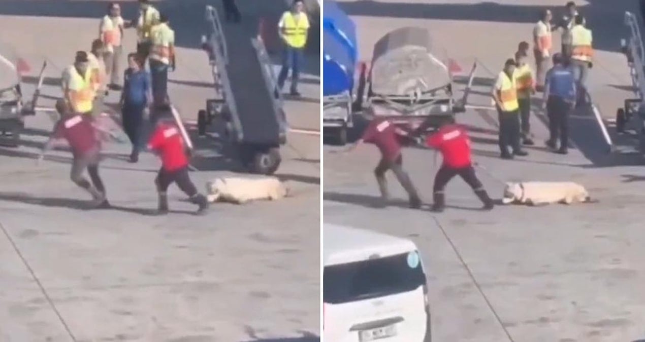 istanbul havalimanindaki goruntulerle ilgili skandal iddia E5JfpaXr