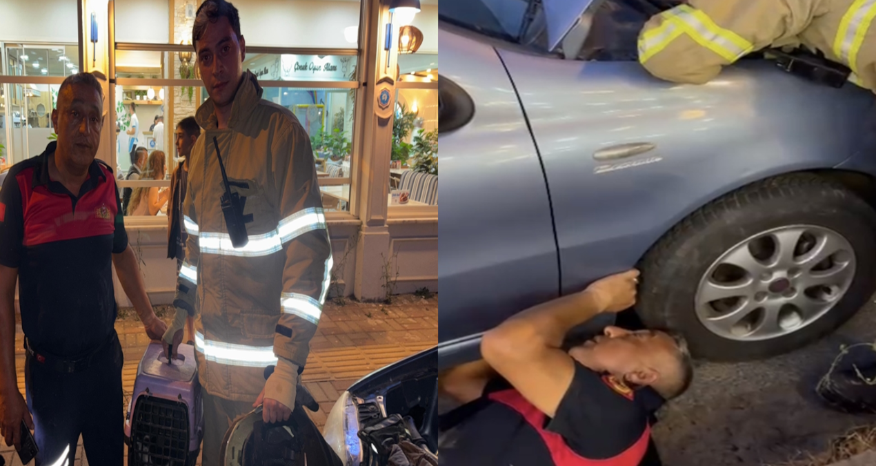 otomobilin motoruna sikisan yavru kediyi boyle kurtardilar fQIPiCNG