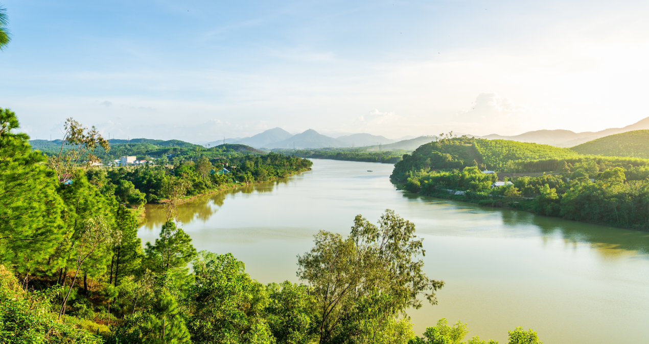Sırf bu nehrin kokusu için binlerce kilometre yol gidiyorlar: İşte nedeni