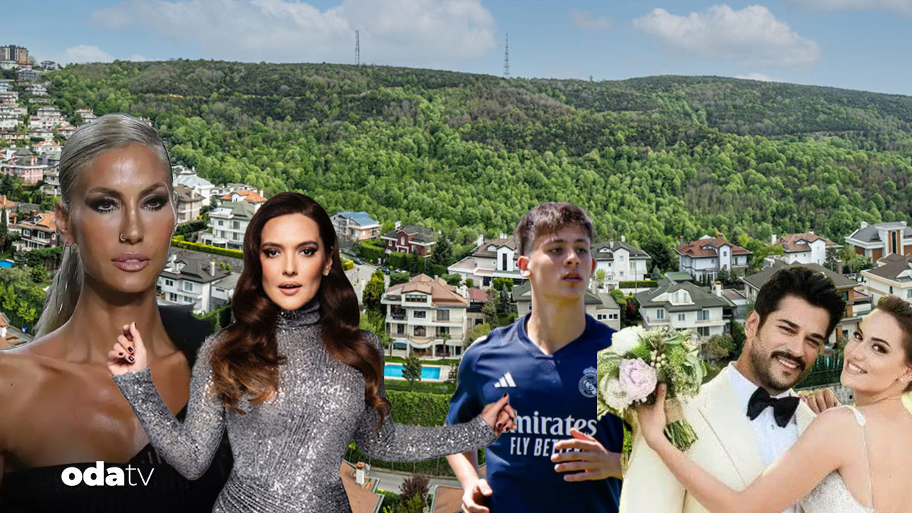 sosyetik sitede fare panigi acarkent alarma gecti jDzexgrM