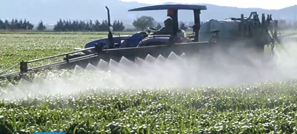 Türkiye’nin gururu Lukas Makine iflas bayrağını çekti. 30 ülkeye ihracat yapıyordu