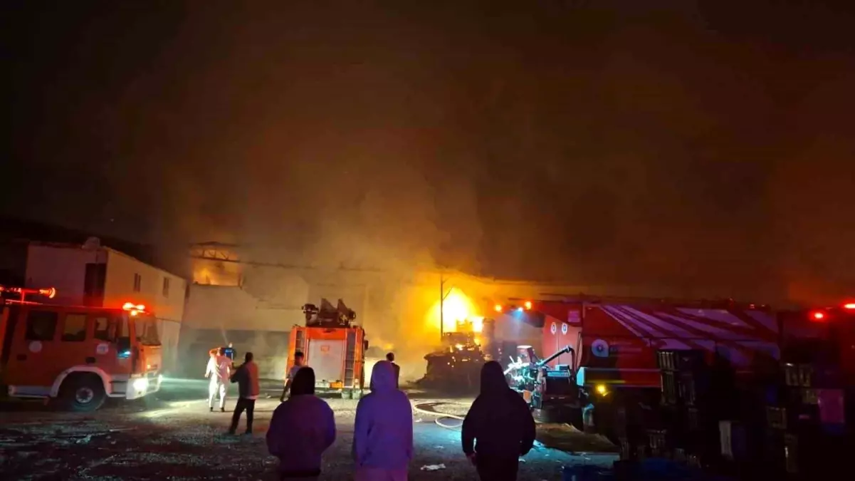 antalyada meyve sebze paketleme fabrikasinda yangin 10 15 milyon tl maddi kayip JiST1LMS.jpg