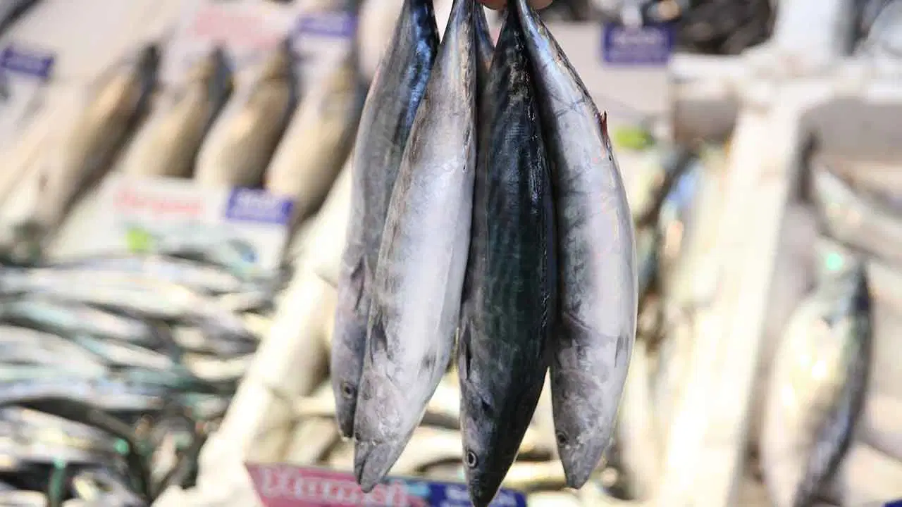 bu sene yuzunu gostermemisti tanesi 300 liradan tezg ha geldi nrXJ8sZM.jpg