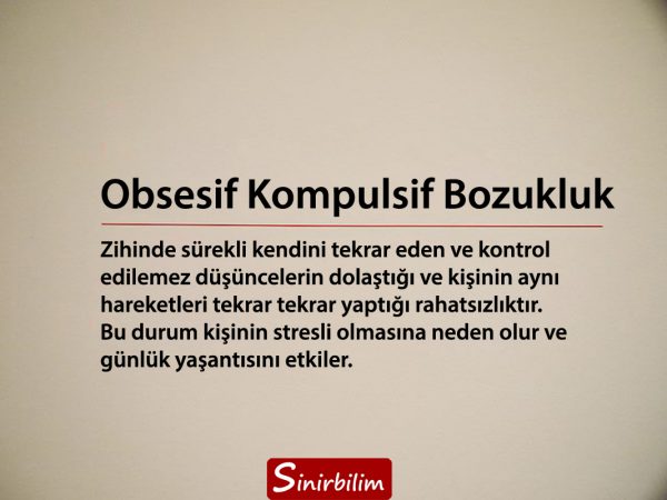 Obsesif Kompulsif Bozukluk Nedir ve Nasıl Tedavi Edilir?