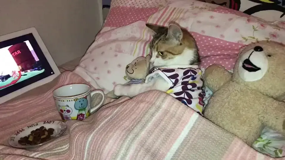 Hafta sonu boyunca bizdir